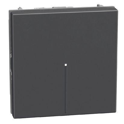 Лихт бутон 2 модула аксиален Bticino Light Now YD4055AM2 - Графит мат