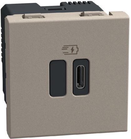 Розетка 2 модула USB тип C 45W Bticino Light Now YG4294C - Камък мат