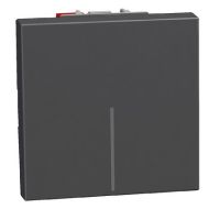 Еднополюсен ключ 2 модула конвенционален Bticino Light Now YD4001M2A  - Графит мат
