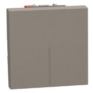 Кръстат ключ 2 модула конвенционален Bticino Light Now YG4004M2  - Камък мат